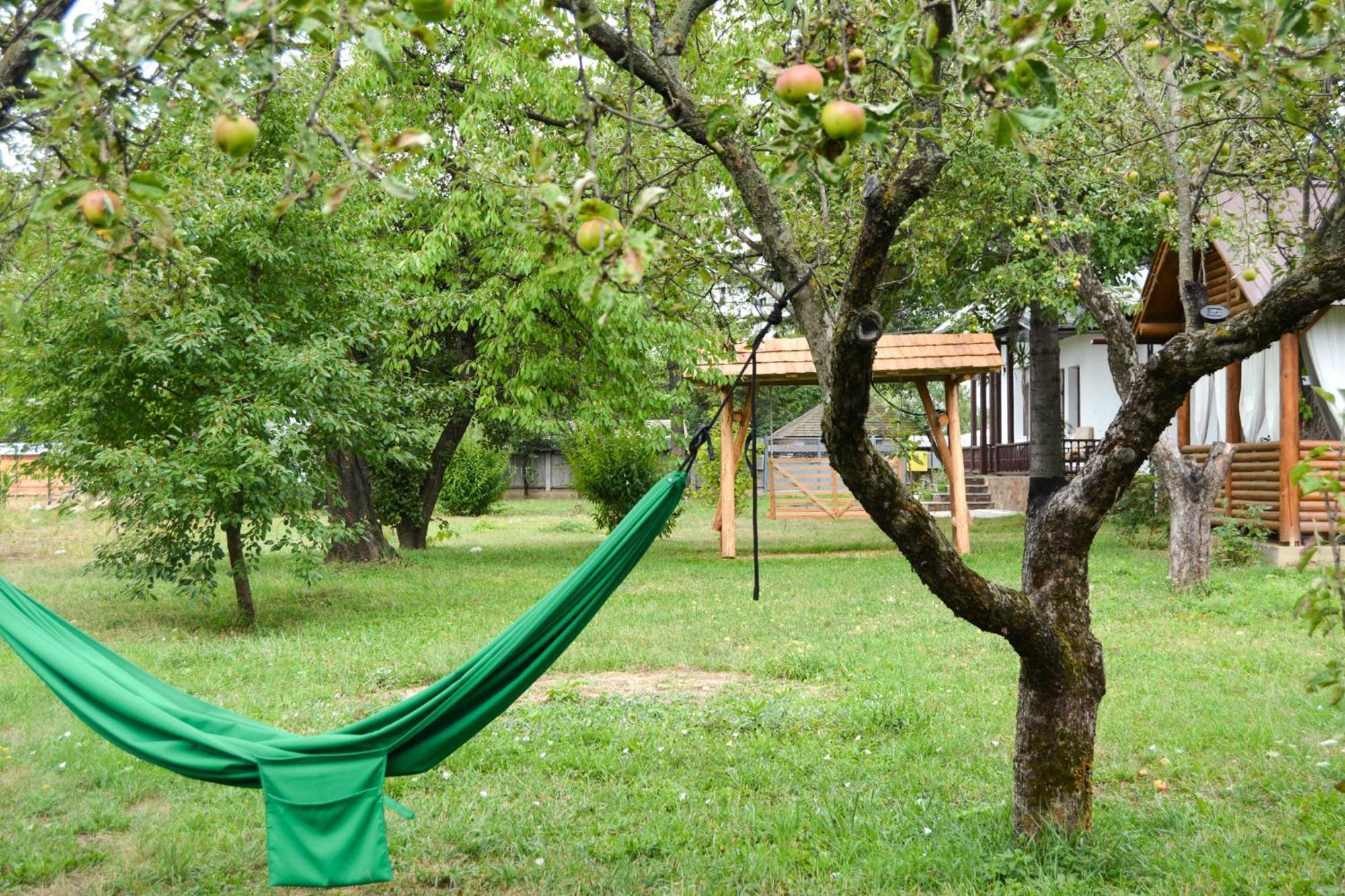 Casa Humulesti, Fii Vecinul Lui Ion Creanga Villa Târgu Neamț Exteriör bild
